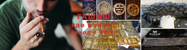 сатива Белокуриха
