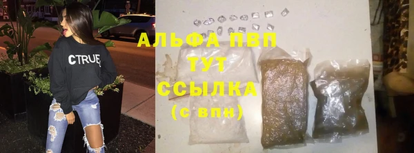сатива Белокуриха