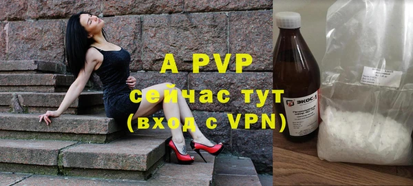 сатива Белокуриха