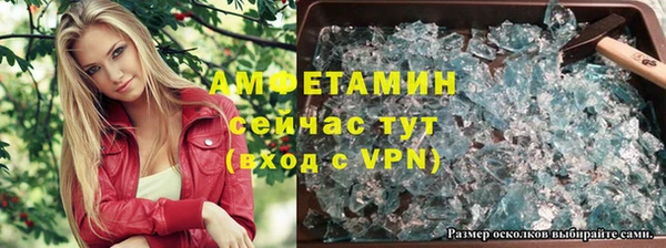 сатива Белокуриха