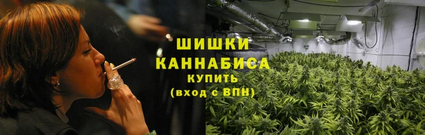 сатива Белокуриха