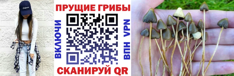 Галлюциногенные грибы мицелий  Купить закладки  Снежинск 
