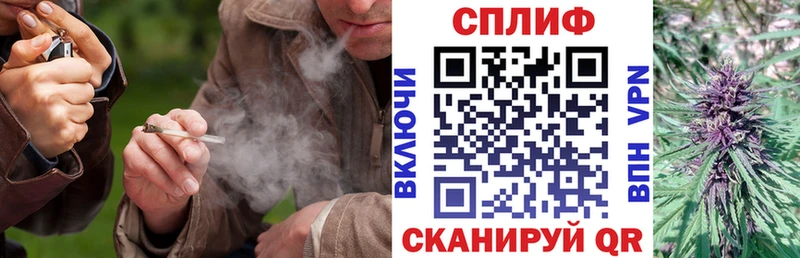 Бошки Шишки OG Kush  Купить закладки  Снежинск 